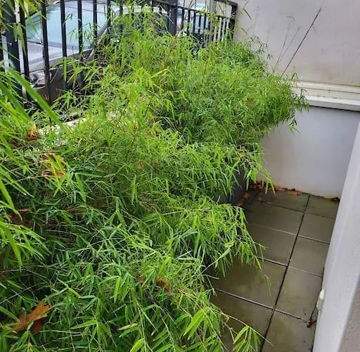 Entier - Chez Benjamin * نانت